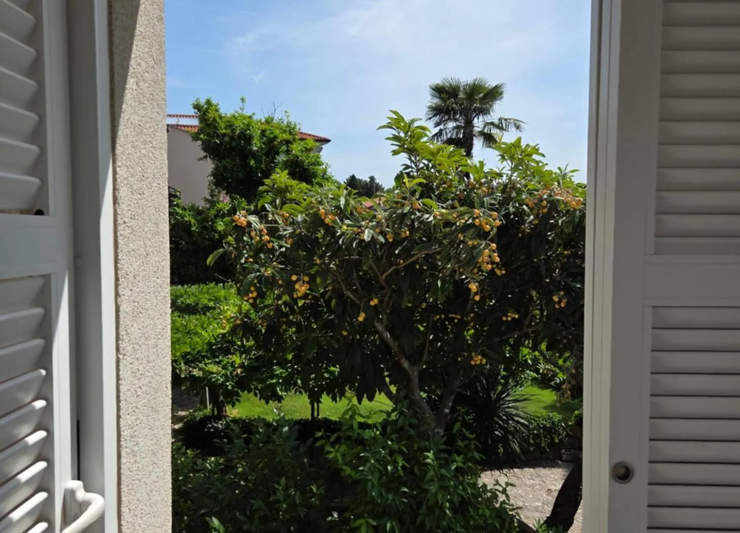 Apartman Alma רוביני דירה